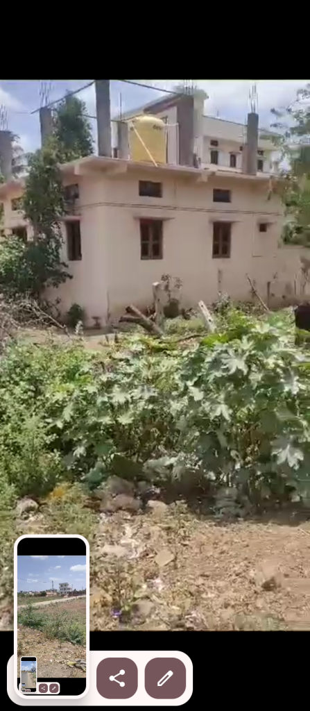 1000030243